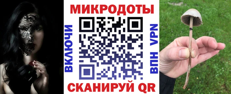 купить наркоту  Жуковский  Галлюциногенные грибы прущие грибы 