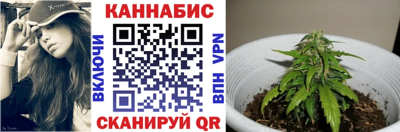 Канабис ГИДРОПОН Жуковский